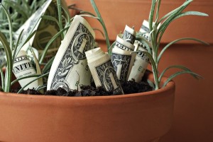 Wealth Makeover