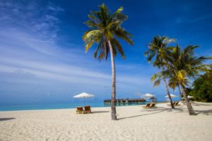 beachscene